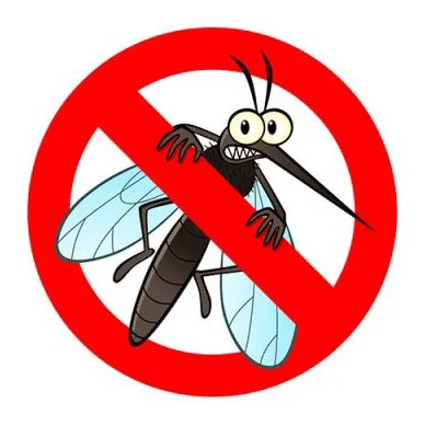 Stop insetti